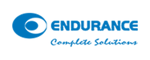 ENDURANCE logo